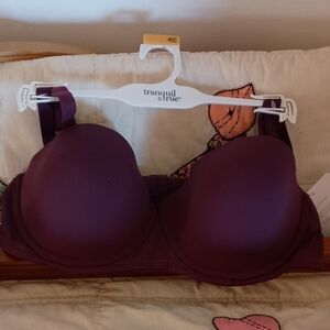 Tranquil & True Deep Purple Women's Bra